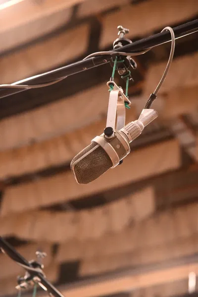 DSC_1665 (Large).JPG